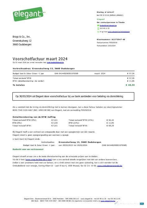 Download Belgium Elegant business utility bill Word and PDF template Photoshop template